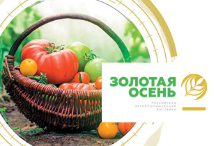 Сельхозпроизводители Подмосковья участвуют в «Золотой осени-2017»